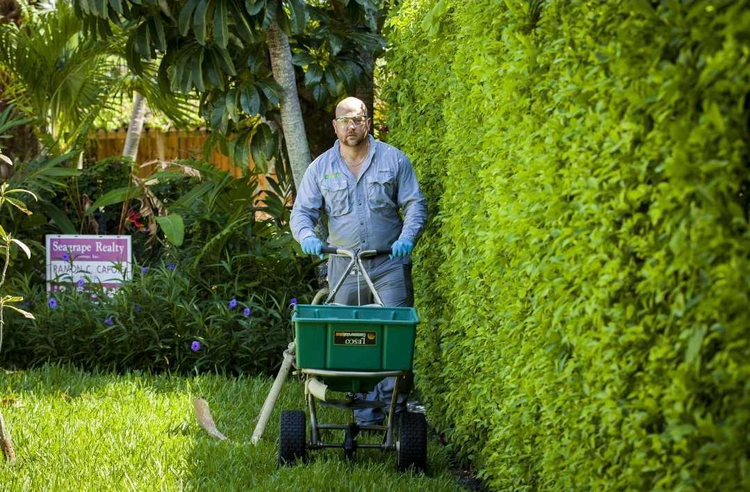 an expert in Florida Lawn Care