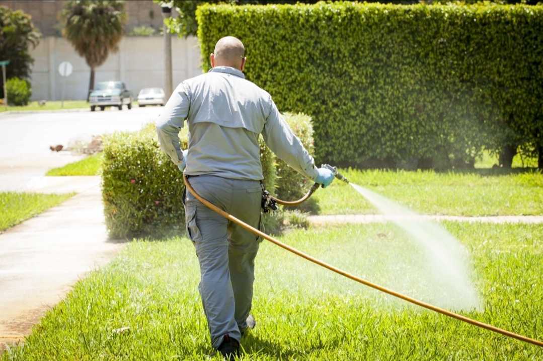 Florida Lawn Maintenance