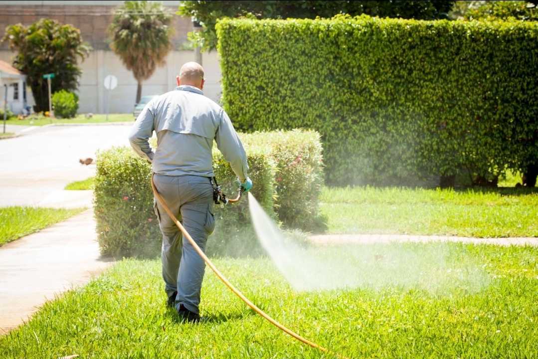 an expert in Lawn Disease Care in West Palm Beach