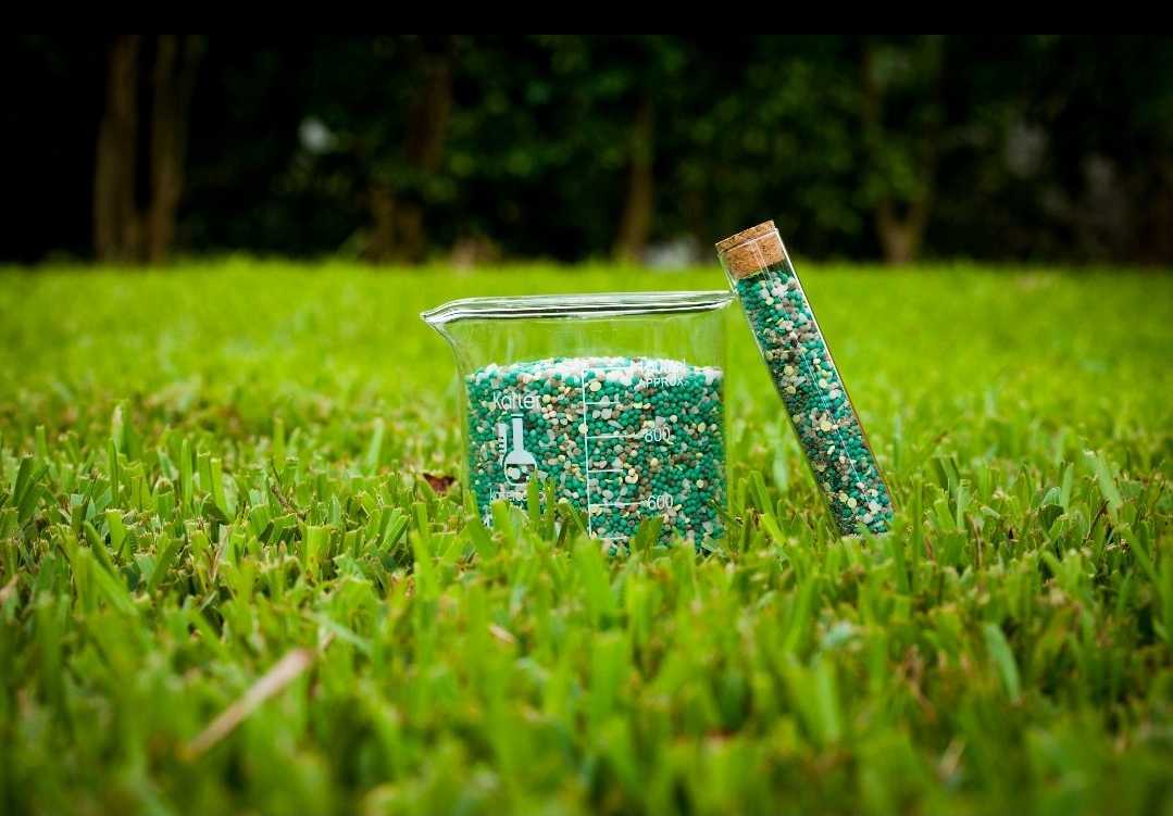 materials used by a Landscaper in West Palm Beach