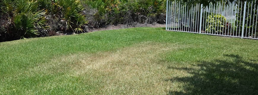 Fix My Lawn Sprinklers Fix My Lawn Sprinklers