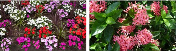 Fix sprinkler for Flower beds O'Hara Landscape Fix sprinkler for Flower beds O'HaraSprinkler