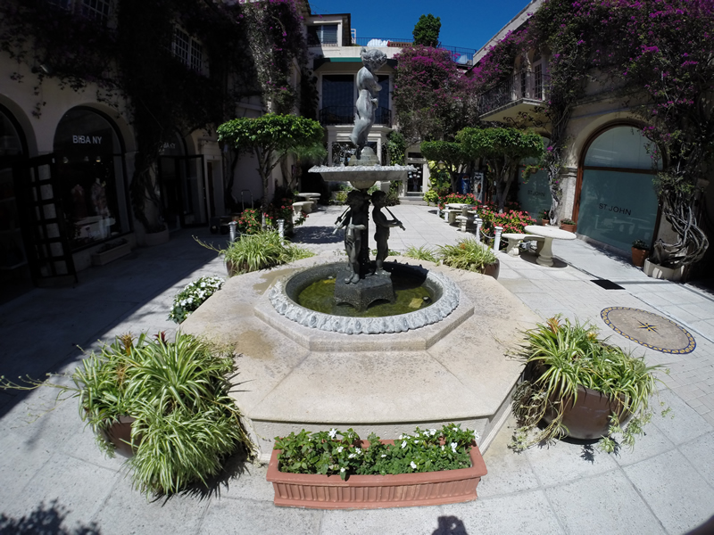 Lawn Irrigation Wellington