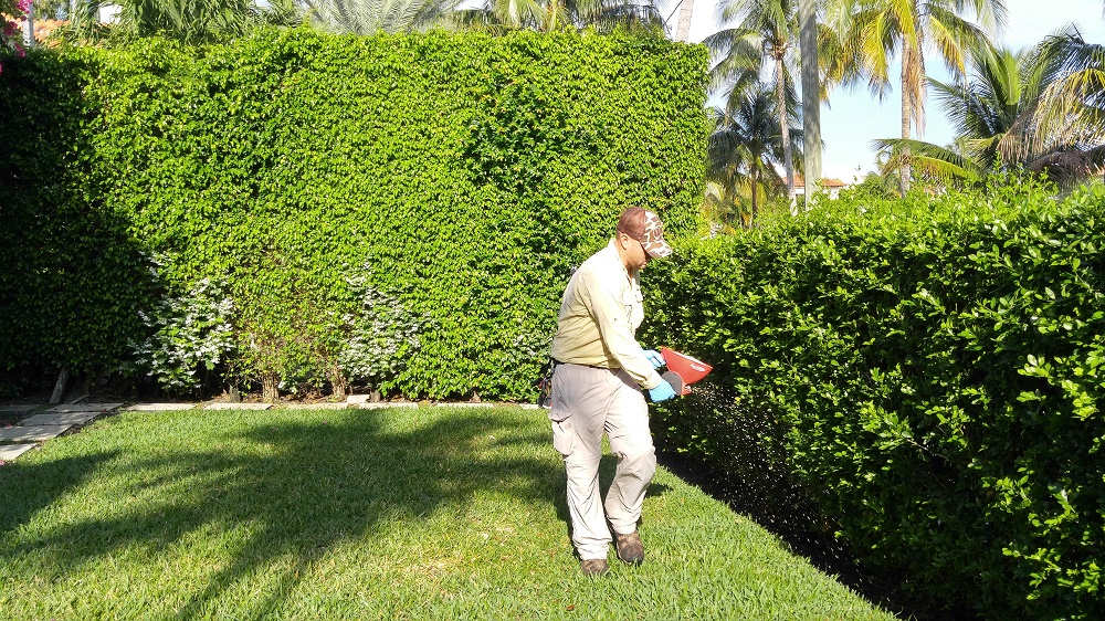 O'Hara Landscape Weed Control Deerfield Beach