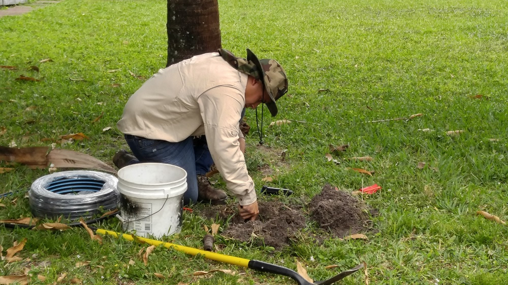 Lawn Care Lawn Maintenance Coral Springs
