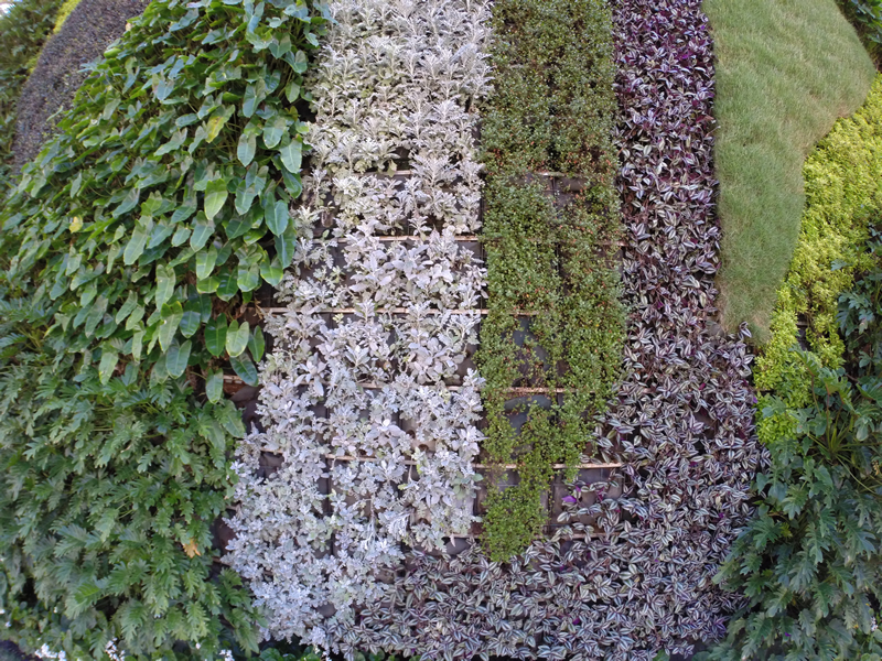 Palm Beach Landscape Maintenance