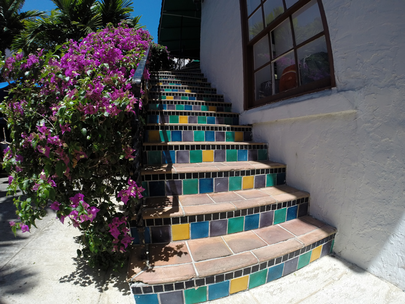 O'Hara Landscape and Maintenance Services for Coconut Creek Florida residential and commercial property