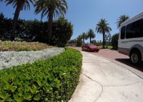Landscape Maintenance Serivces South Florida 44