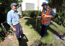 Landscape Maintenance Serivces South Florida 4