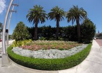 Landscape Maintenance Serivces South Florida 29