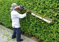 Landscape Maintenance Serivces South Florida 52