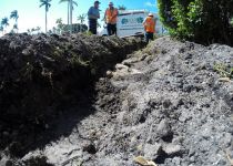 Landscape Maintenance Serivces South Florida 3