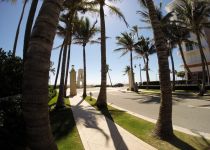 Landscape Maintenance Serivces South Florida 14