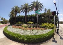 Landscape Maintenance Serivces South Florida 41