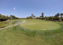 Landscape Maintenance Serivces South Florida 32