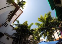 Landscape Maintenance Serivces South Florida 35