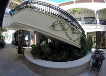 Landscape Maintenance Serivces South Florida 22
