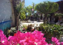 Landscape Maintenance Serivces South Florida 26