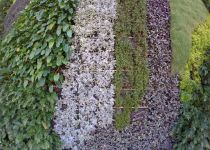 Landscape Maintenance Serivces South Florida 16