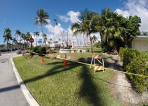 Landscape Maintenance Serivces South Florida 01