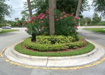 Landscape Maintenance Serivces South Florida 48