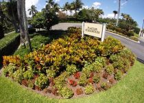 Landscape Maintenance Serivces South Florida 38