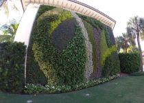 Landscape Maintenance Serivces South Florida 18