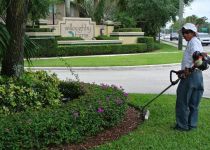 Landscape Maintenance Serivces South Florida 51