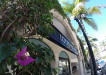 Landscape Maintenance Serivces South Florida 19