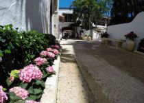 Landscape Maintenance Serivces South Florida 33