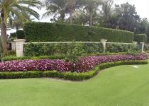 Landscape Maintenance Serivces South Florida 49