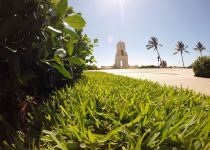 Landscape Maintenance Serivces South Florida 12