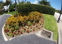 Landscape Maintenance Serivces South Florida 37
