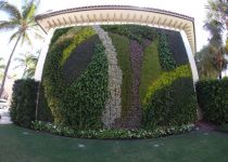 Landscape Maintenance Serivces South Florida 17