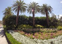 Landscape Maintenance Serivces South Florida 39