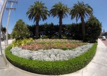 Landscape Maintenance Serivces South Florida 46