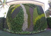 Landscape Maintenance Serivces South Florida 28
