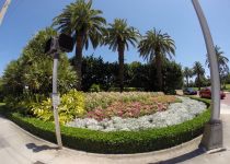 Landscape Maintenance Serivces South Florida 43