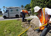 Landscape Maintenance Serivces South Florida 2