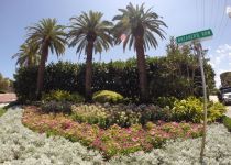 Landscape Maintenance Serivces South Florida 42